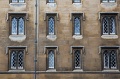 Ed -DSC_0095